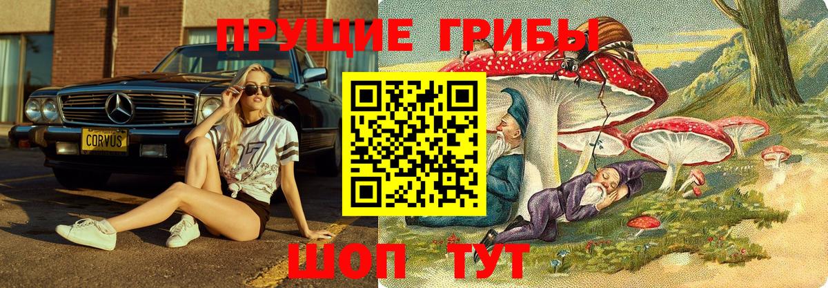Тимашёвск  Псилоцибиновые грибы мицелий  Вход с VPN  Псилоцибиновые грибы мухоморы 